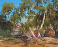 Old Eucalyptus by Harry Wheeler