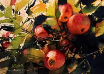 Apple Season by Yong Hong Zhong