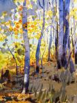 Golden Aspen by Yong Hong Zhong