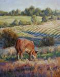 The Back Pasture by Emily Schultz-McNeil