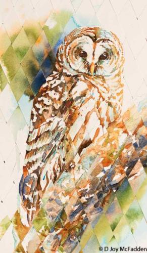 Braided Barred Owl by Denise McFadden