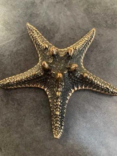 Star Fish I by Steve Reinmuth