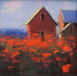 Red Poppies & Barn Study by Romona Youngquist