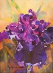 Purple Maze by Mary Jane Larson