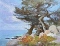 Monterey Cypress by Elo Wobig