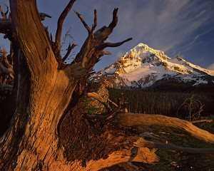 Mt. hood From Lolo Pass (8 of 50) by Steve Terrill