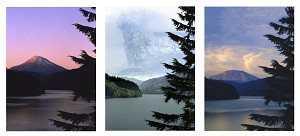 Mt. St. Helens From Yale Lake triptych by Steve Terrill