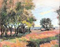 Shady Grove by Harry Wheeler