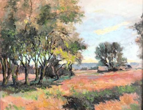 Shady Grove by Harry Wheeler