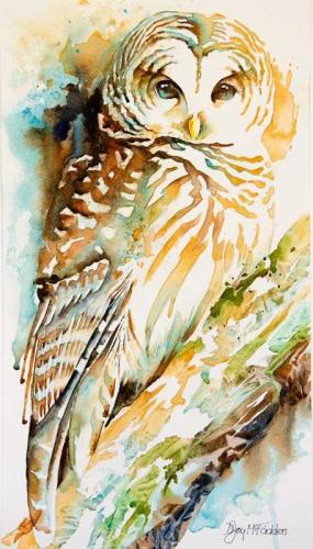 Barred Owl by Denise McFadden