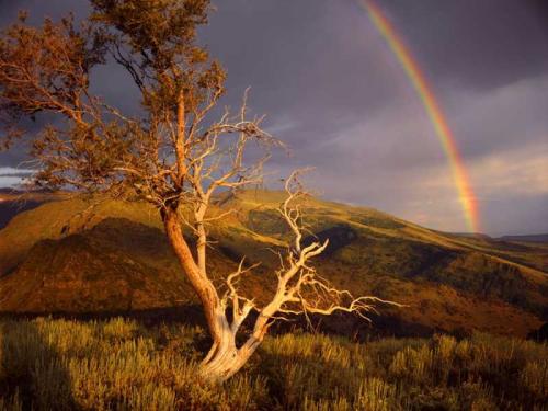 Rainbow at the Steens Mountains by Steve Terrill