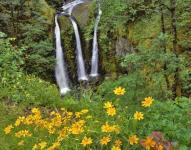 Triple Falls, Oregon by Steve Terrill