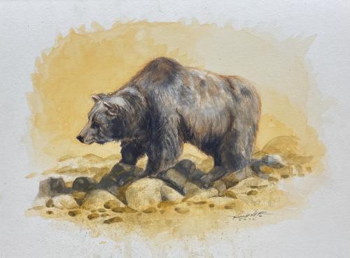Bear by Mike Rangner