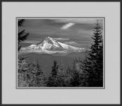 Mt Hood from Larch Mountain by Erskine Wood