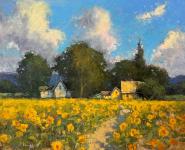 Sunflower Field in Sherwood by Romona Youngquist