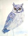 Blue Owl by Janel Pahl