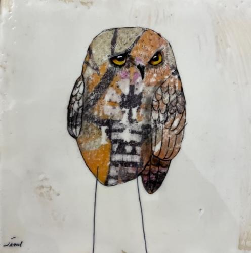 Owl Series III by Janel Pahl