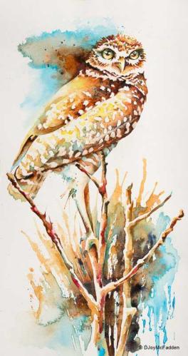 Burrowing Owl by Denise McFadden