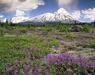Lahar at Mt. St. Helens by Steve Terrill