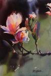 Morning Bloom, Magnolia by Yong Hong Zhong