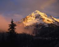 Mt. Hood from Lolo Pass by Steve Terrill