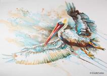 Winged Pelican by Denise McFadden