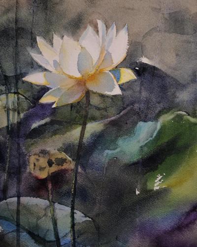 White Lotus Flower by Yong Hong Zhong